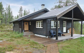  Holiday Home Rendalen with a Sauna 03  Окрестрёммен